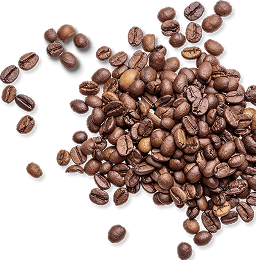 コーヒー豆